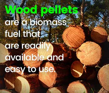 What is Biomass? | Energy Pellets of America